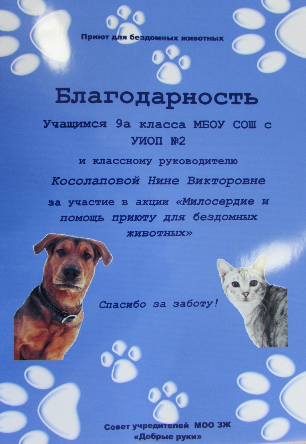 Спасибо за помощь животным